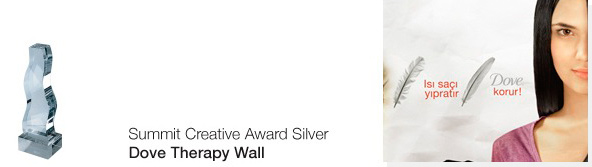 Summit Creative Awards Silver